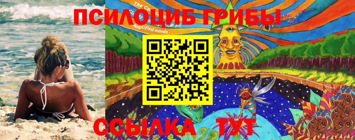 Владикавказ  Галлюциногенные грибы Cubensis  Вход с VPN  Галлюциногенные грибы MAGIC MUSHROOMS 